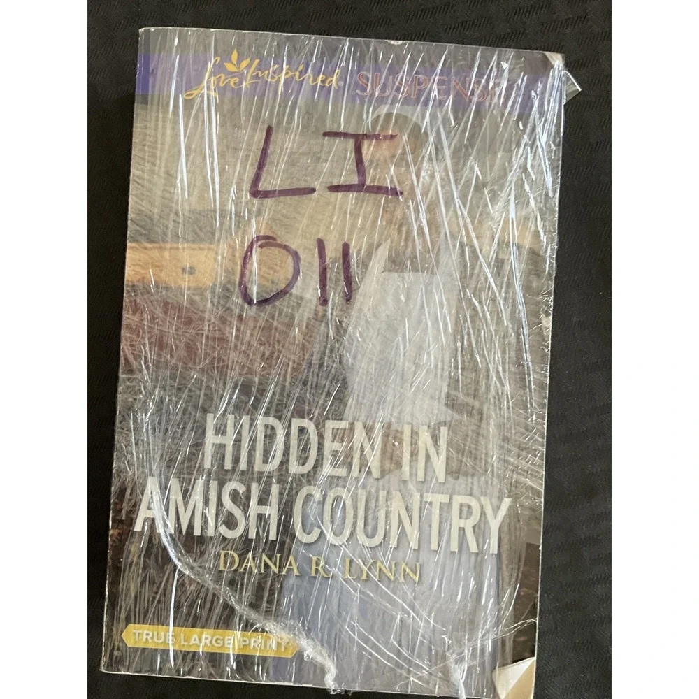 Amish Hideout Maggie K. Black Hidden in Amish Country Dana R.‎ Lynn Large Print